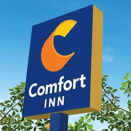 Comfort Inn Мартінсвілл Екстер'єр фото
