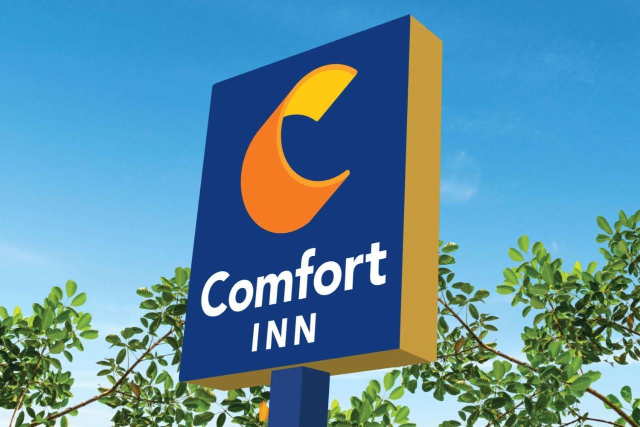 Comfort Inn Мартінсвілл Екстер'єр фото